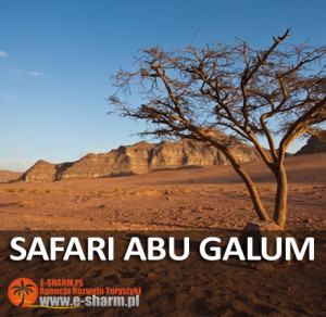 E-SHARM Safari Abu Galum